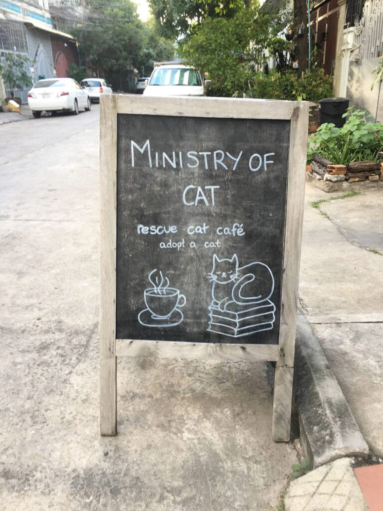 Phnom Penh - Ministry of Cat